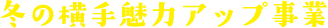冬の横手魅力アップ事業